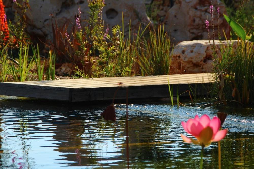 Il Fiore Della Vita Trulli Country House Conversano Dış mekan fotoğraf
