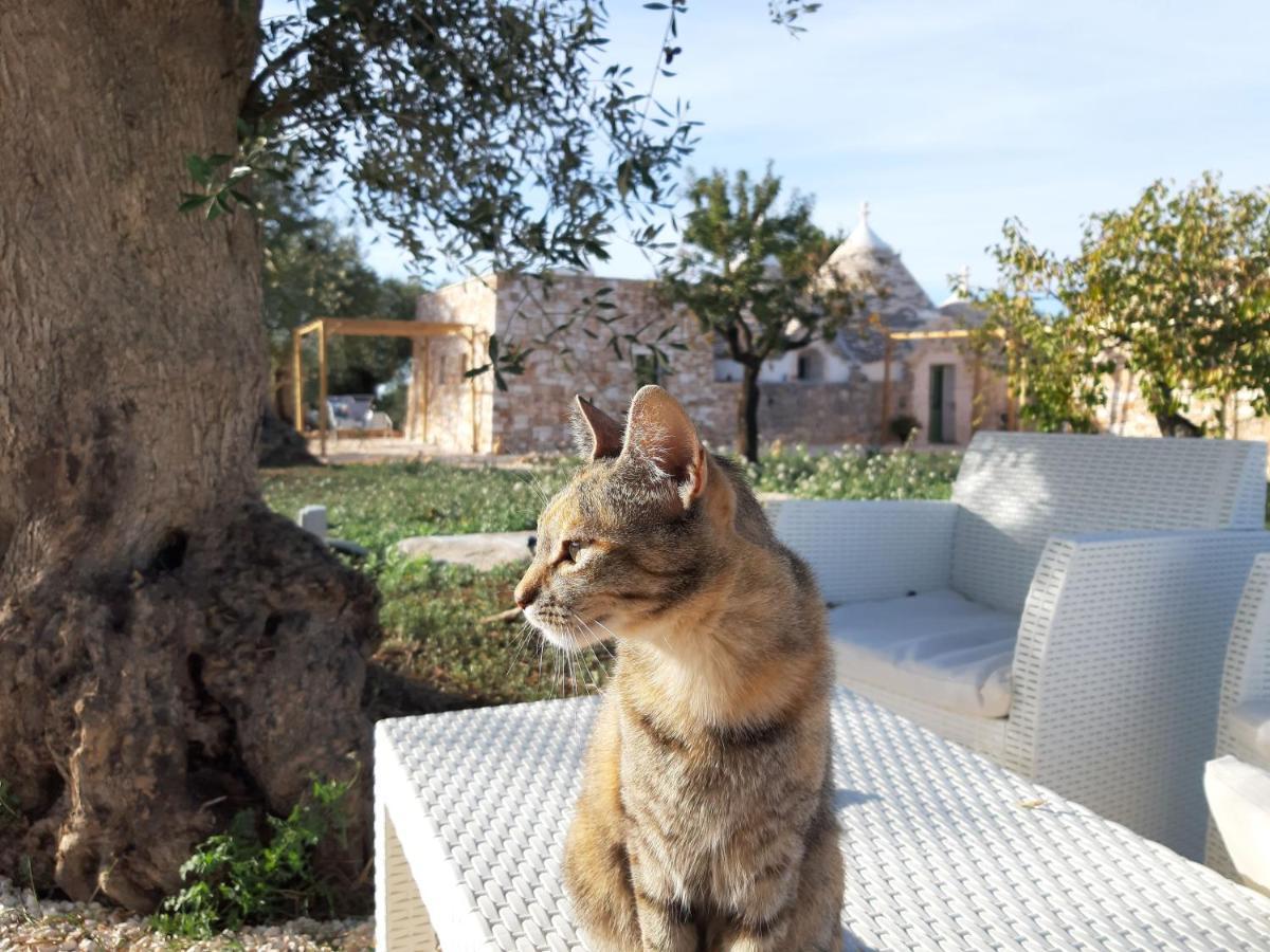 Il Fiore Della Vita Trulli Country House Conversano Dış mekan fotoğraf