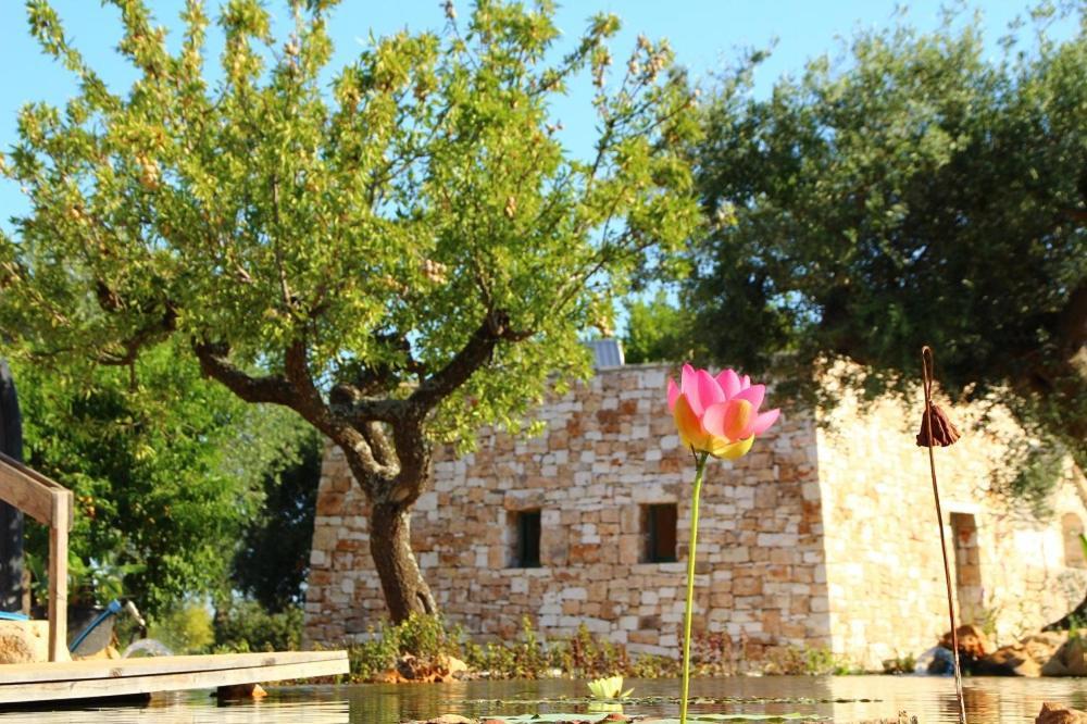 Il Fiore Della Vita Trulli Country House Conversano Dış mekan fotoğraf